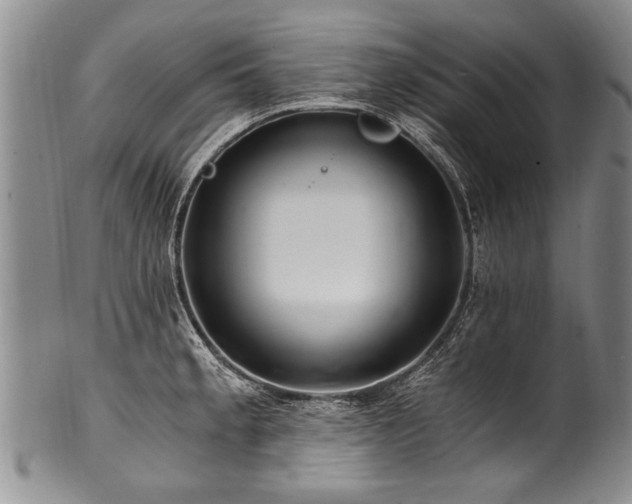X0000101121189200806261429