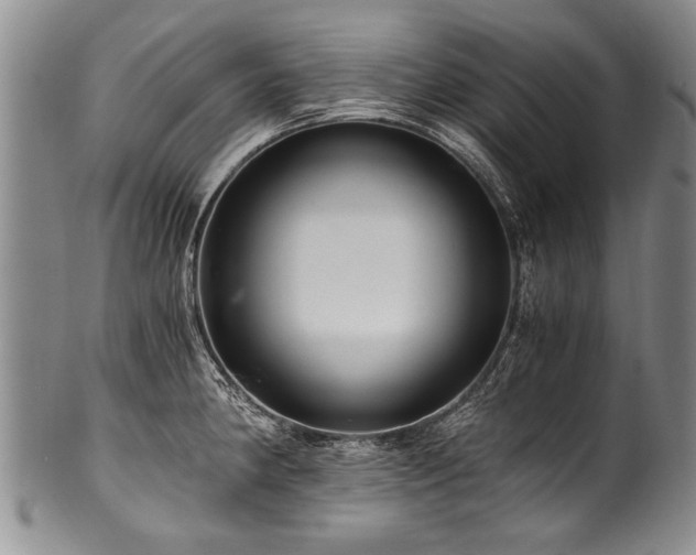 X0000101121190200806261429