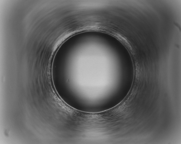X0000101121192200806261429