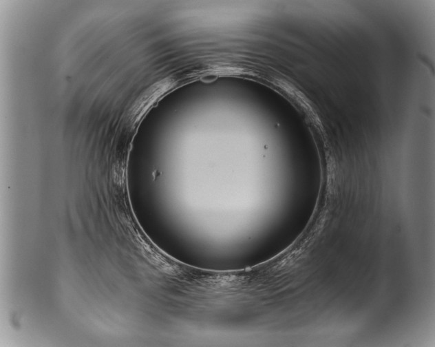 X0000101121193200806261429