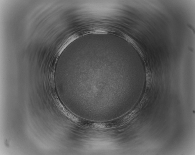 X0000101121194200806261429