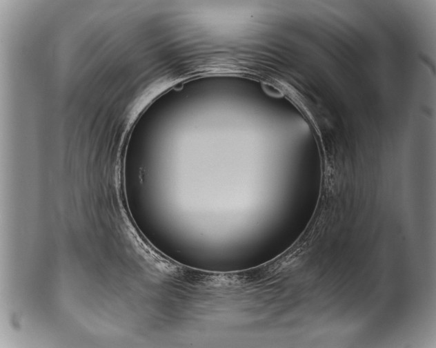 X0000101121195200806261429