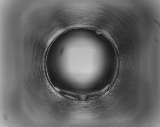 X0000101121197200806261429