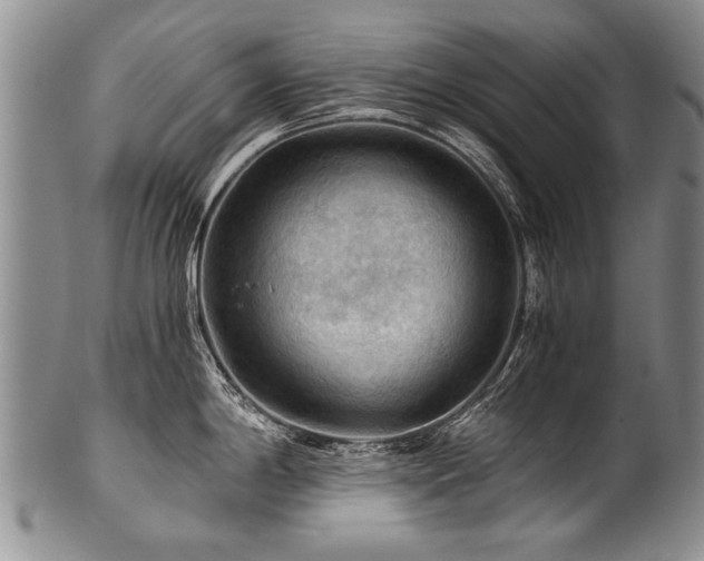 X0000101121198200806261429
