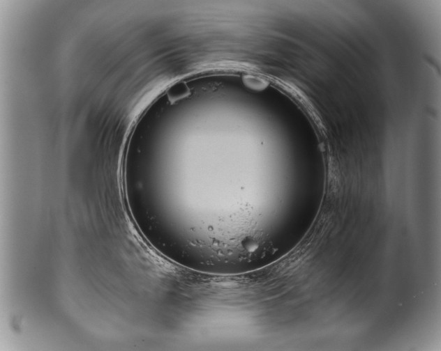 X0000101121199200806261429