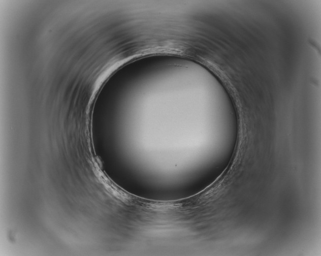 X0000101121200200806261429