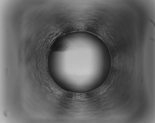 X0000101121201200806261428