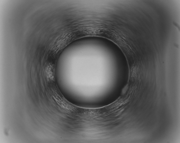 X0000101121202200806261428