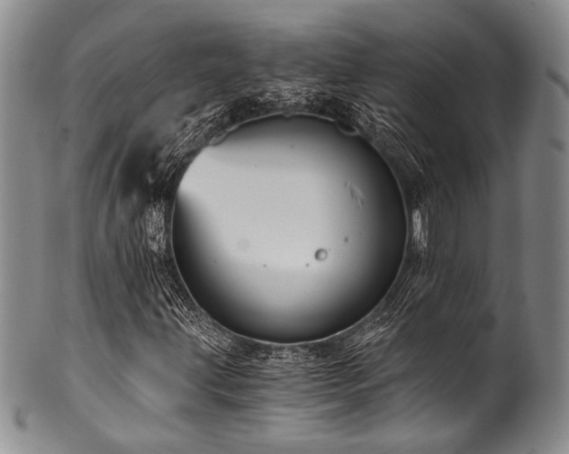 X0000101121203200806261428