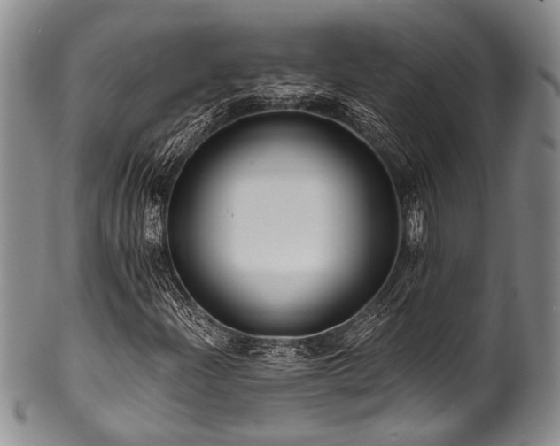 X0000101121204200806261428