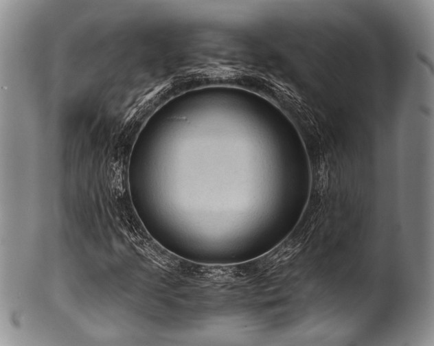 X0000101121205200806261428