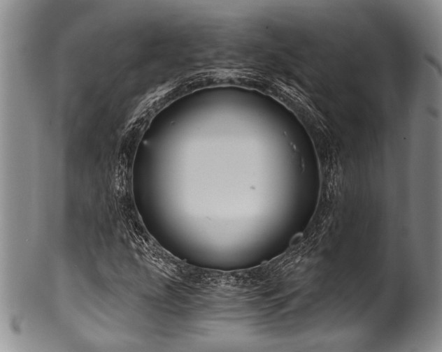 X0000101121207200806261428
