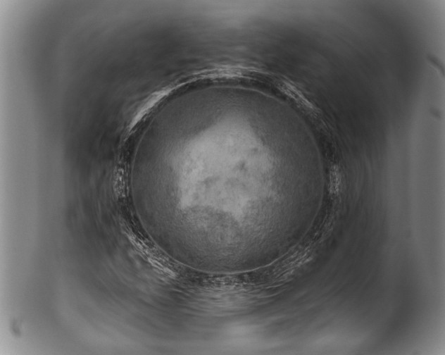 X0000101121208200806261428
