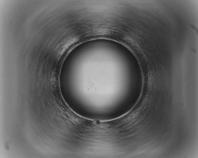 X0000101121210200806261428