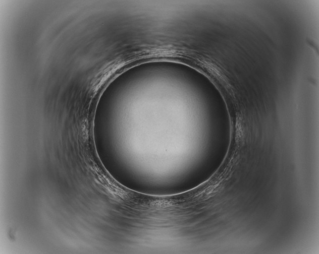 X0000101121212200806261428