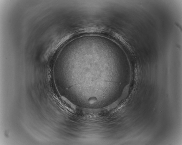 X0000101121213200806261428