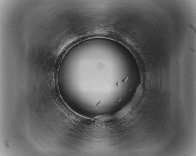 X0000101121214200806261428