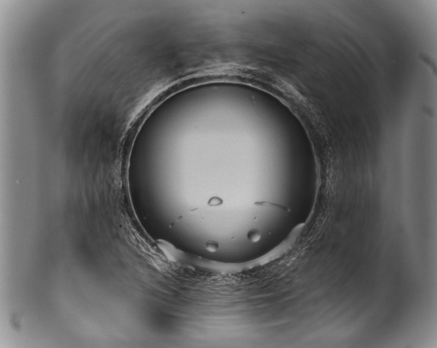 X0000101121216200806261428
