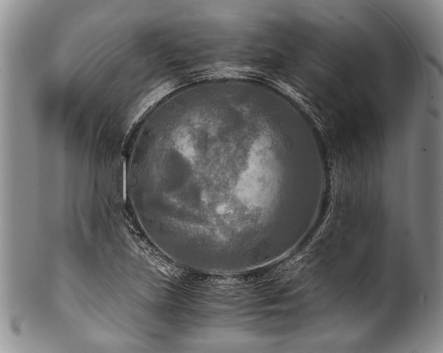 X0000101121219200806261428