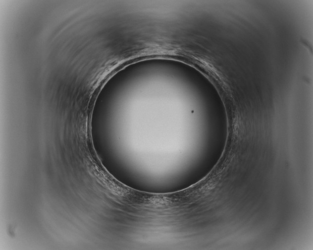 X0000101121220200806261428