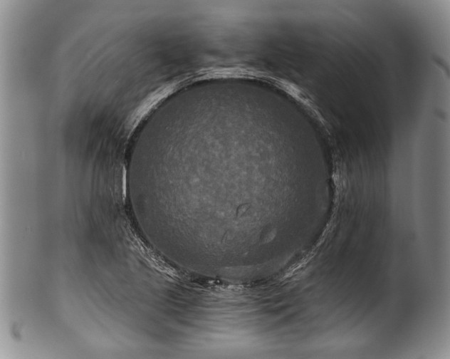 X0000101121221200806261428