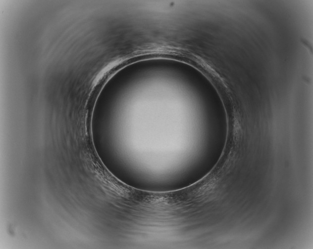 X0000101121222200806261428