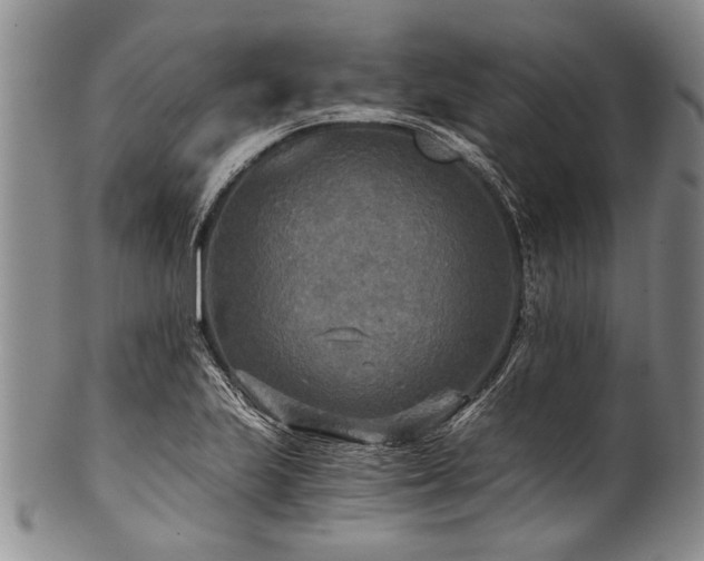 X0000101121223200806261428