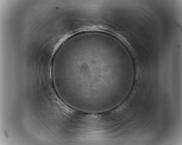 X0000101121224200806261428