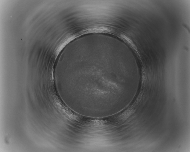 X0000101121226200806261428