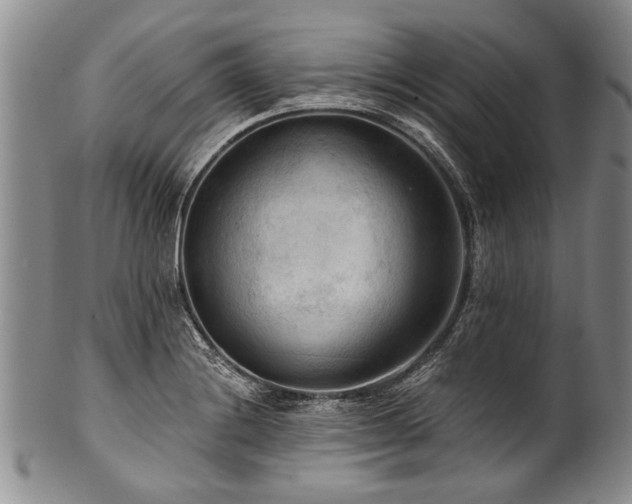 X0000101121228200806261428