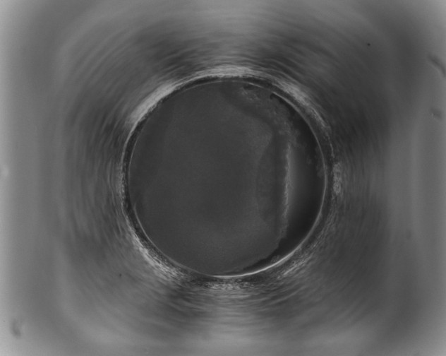 X0000101121229200806261428