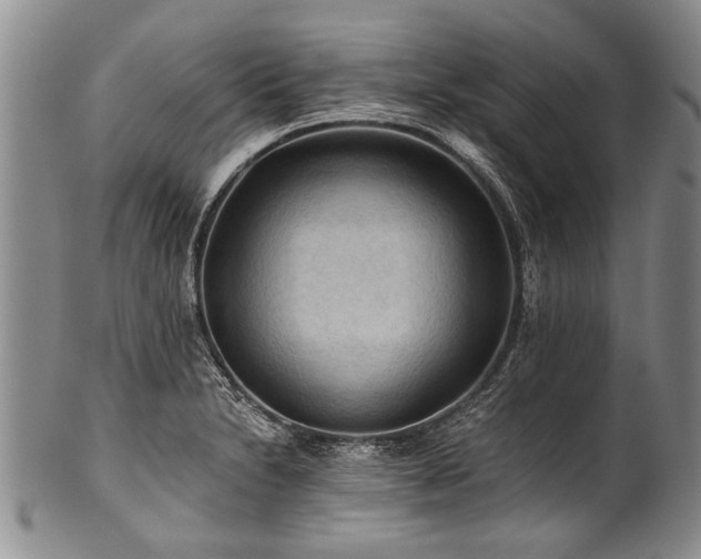X0000101121230200806261428