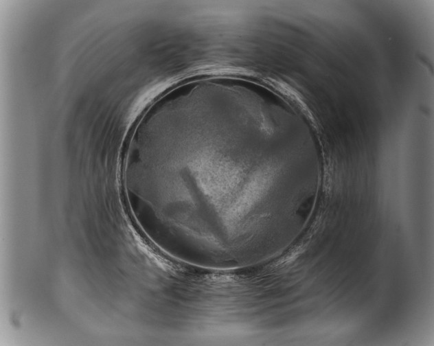 X0000101121231200806261428