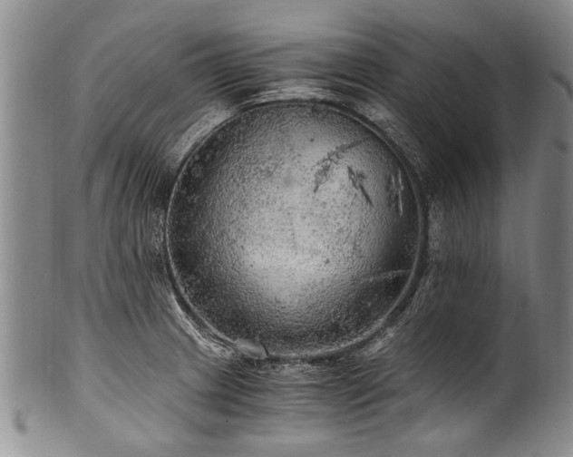 X0000101121233200806261428
