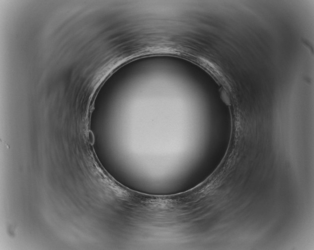 X0000101121236200806261428