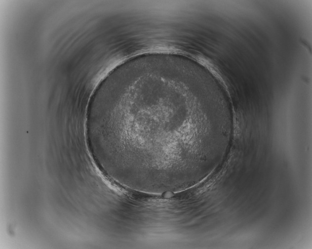 X0000101121237200806261428
