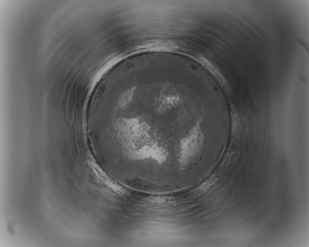 X0000101121240200806261428
