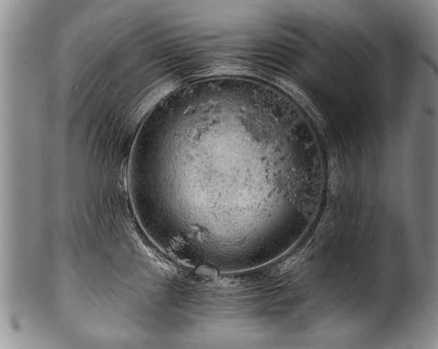 X0000101121241200806261428