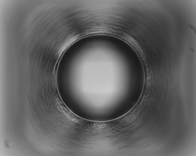 X0000101121242200806261428