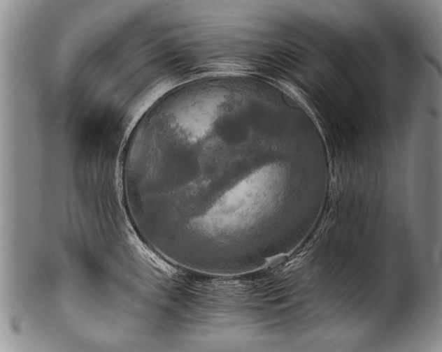 X0000101121243200806261428