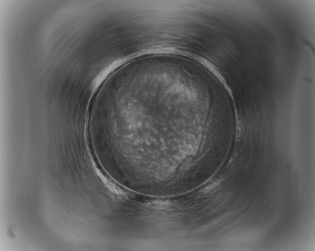 X0000101121245200806261428