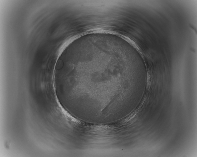 X0000101121247200806261428