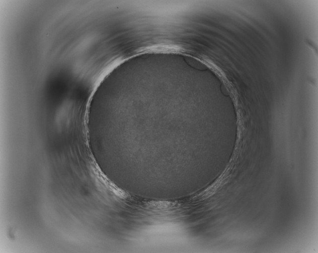 X0000101121248200806261428