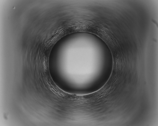 X0000101121250200806261428