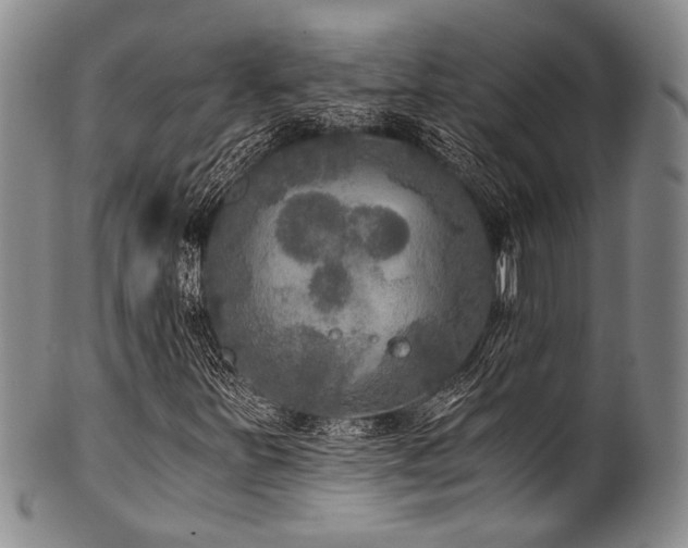 X0000101121251200806261428
