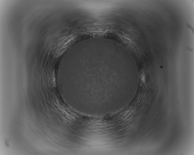 X0000101121252200806261428