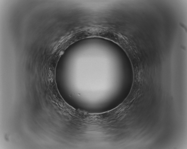 X0000101121253200806261428