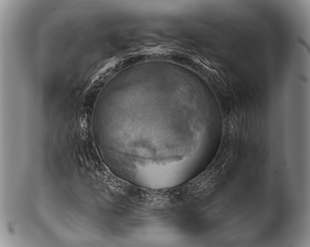 X0000101121254200806261428