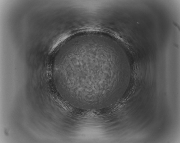X0000101121255200806261428