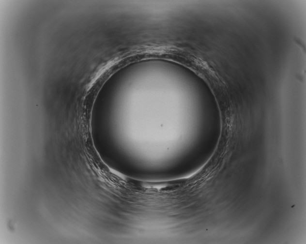 X0000101121256200806261428